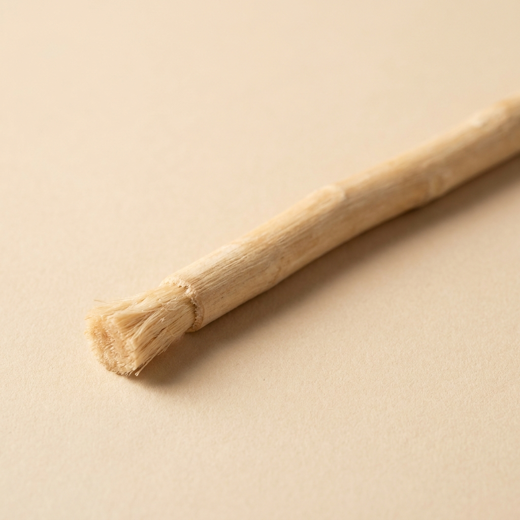 Siwak naturel -bâton brosse à dent sans eau