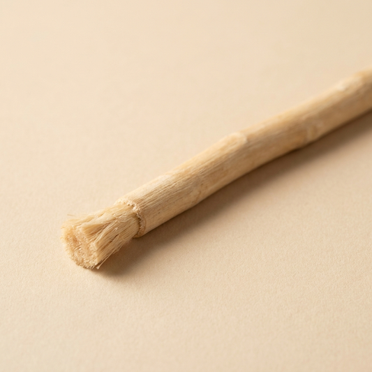 Siwak naturel -bâton brosse à dent sans eau