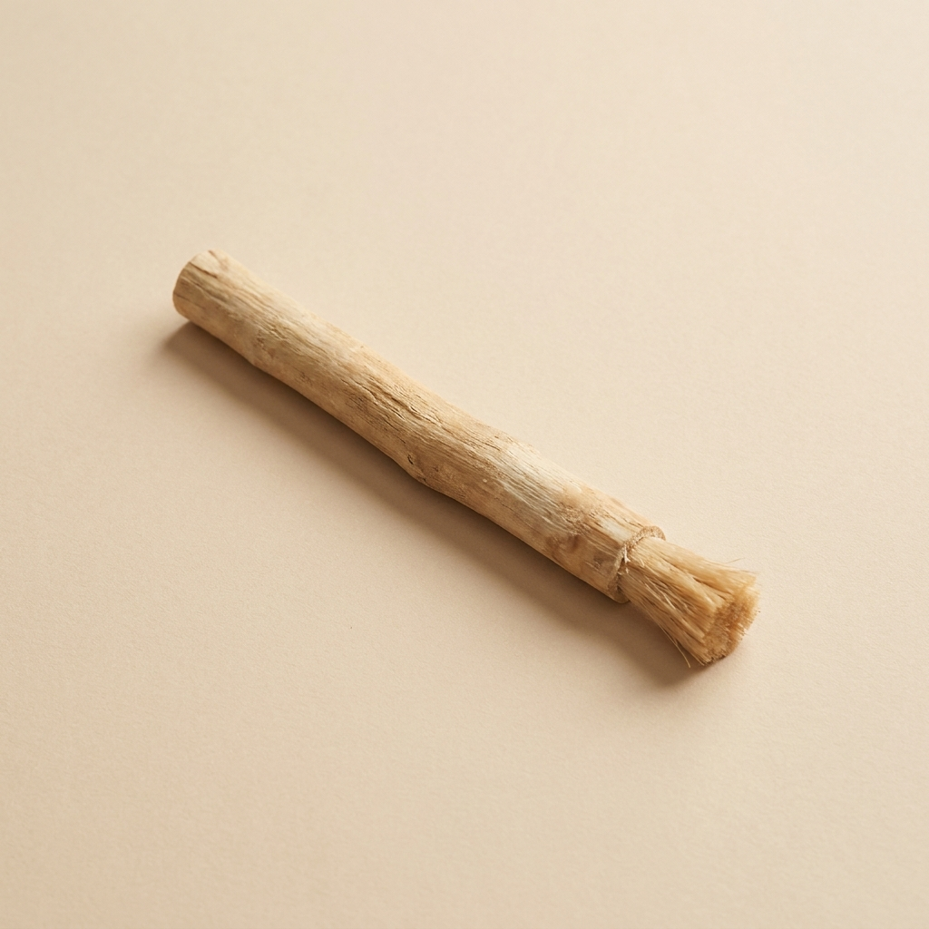 Siwak naturel -bâton brosse à dent sans eau